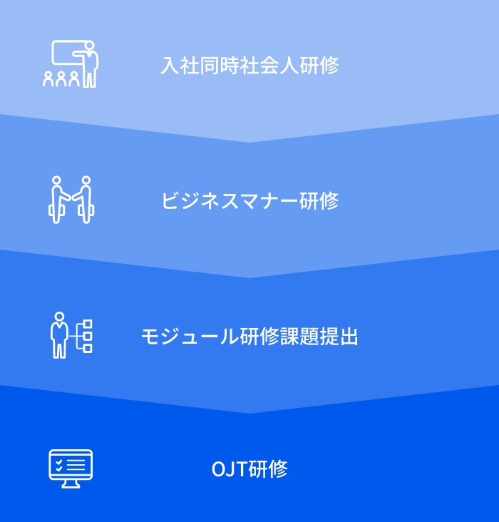 新卒の教育課程